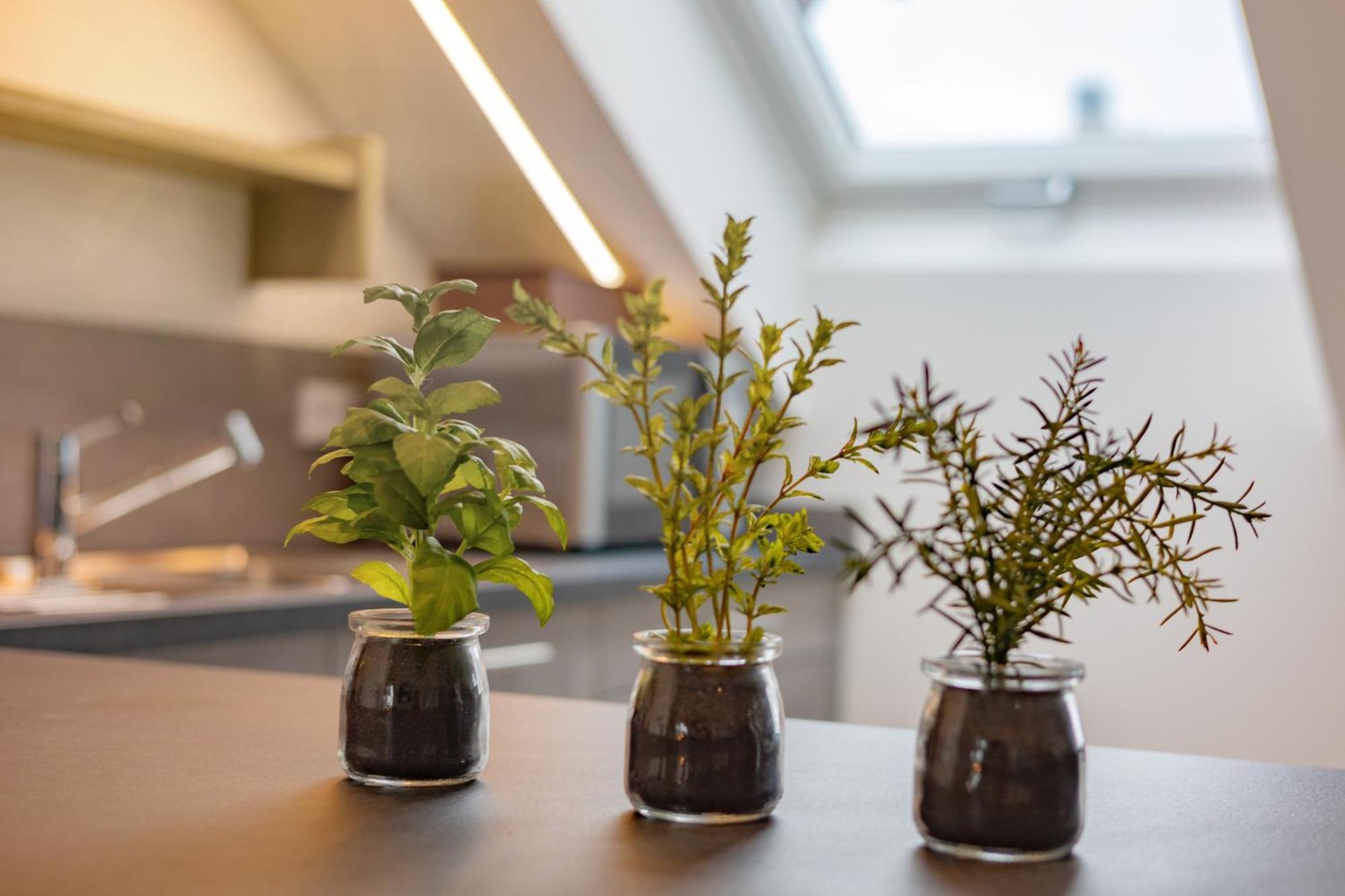 Sweethome - Apartment *